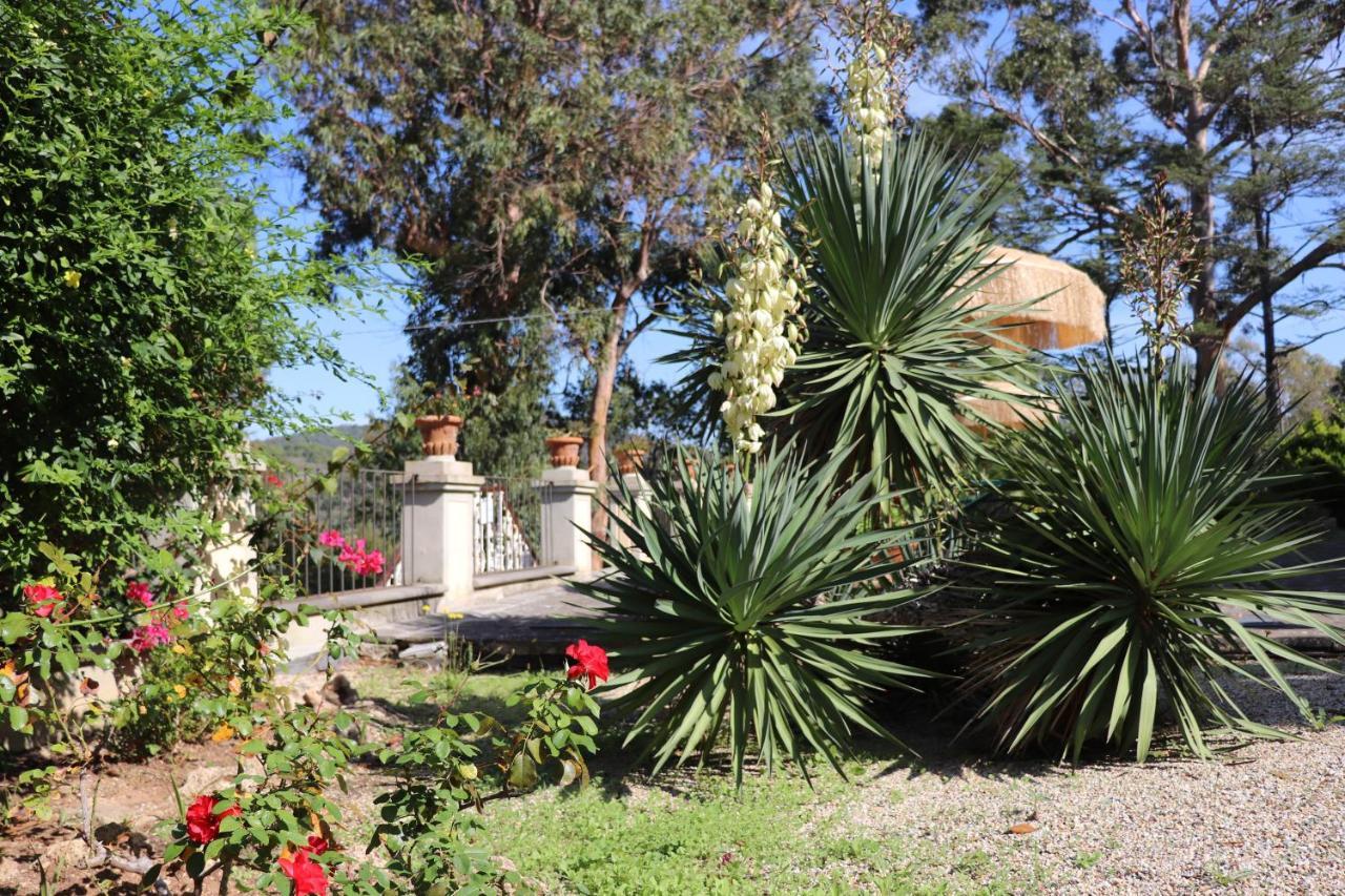 Villa Teresa Porto Azzurro Ngoại thất bức ảnh