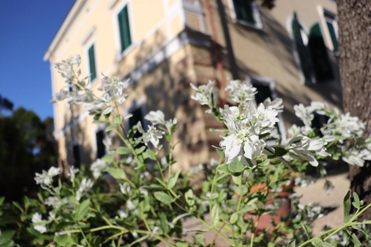 Villa Teresa Porto Azzurro Ngoại thất bức ảnh