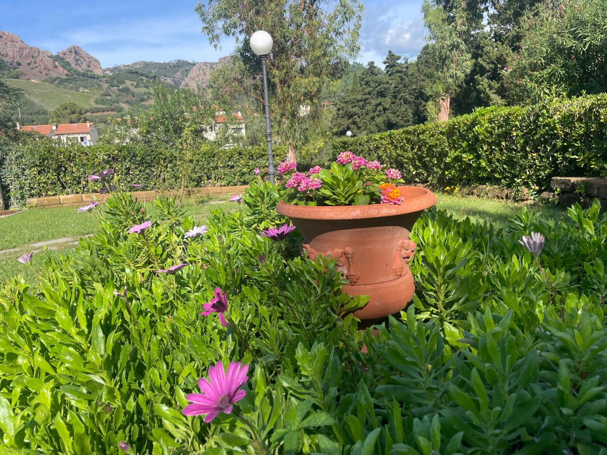 Villa Teresa Porto Azzurro Ngoại thất bức ảnh